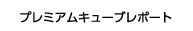 プレミアムキューブレポート