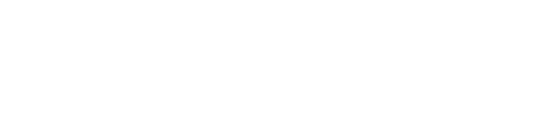 プロフェッショナルズアイ