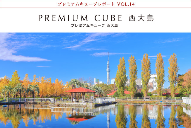 プレミアムキューブレポート VOL.14 PREMIUM CUBE 西大島