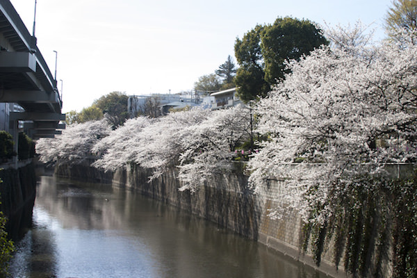 江戸川橋